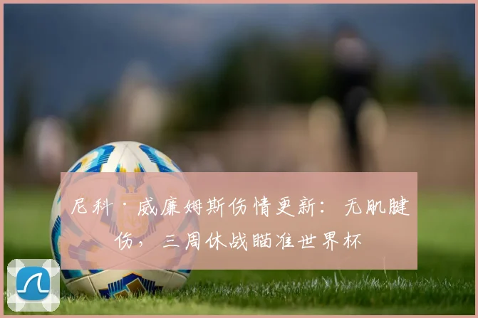 尼科·威廉姆斯伤情更新:无肌腱损伤,三周休战瞄准世界杯