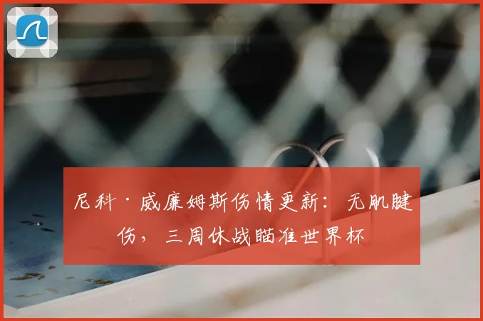 尼科·威廉姆斯伤情更新：无肌腱损伤，三周休战瞄准世界杯